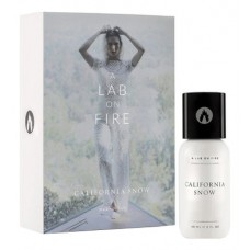 A Lab on Fire California Snow