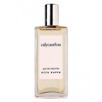 Acca Kappa Calycanthus Acca Kappa Calycanthus