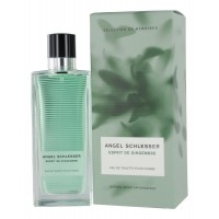 Angel Schlesser Esprit De Gingembre Men Angel Schlesser Esprit De Gingembre Men