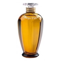 Antonia's Flowers Tiempe Passate