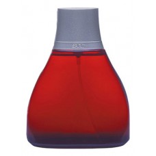 Banderas Spirit Men фото духи