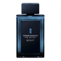 Banderas The Secret Night