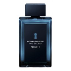 Banderas The Secret Night фото духи