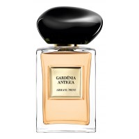 Armani Giorgio  Gardenia Antigua Armani Giorgio  Gardenia Antigua