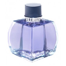 Azzaro Pure Lavander фото духи