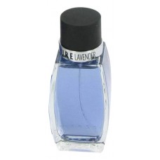 Azzaro Pure Lavander фото духи