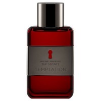 Banderas The Secret Temptation