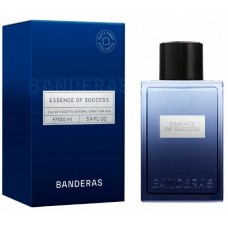 Banderas Essence Of Success фото духи