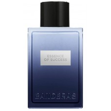 Banderas Essence Of Success фото духи