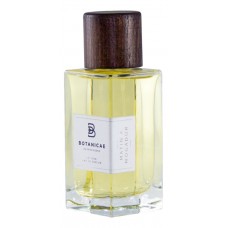 Botanicae Expressions Matin A Mogador