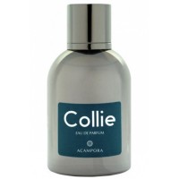 Bruno Acampora Collie Bruno Acampora Collie