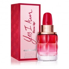 Cacharel Yes I Am Bloom Up фото духи