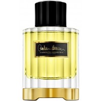 Carolina Herrera 35 Years Of Fashion Carolina Herrera 35 Years Of Fashion