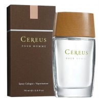 Cereus No. 4 Cereus No. 4