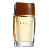 Cereus №7 Cereus №7