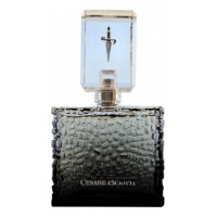 Cesare Paciotti For Him