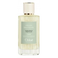 Chloe Atelier Des Fleurs Narcissus Poeticus Chloe Atelier Des Fleurs Narcissus Poeticus