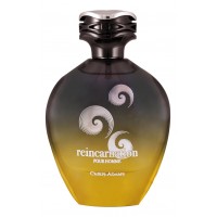 Chris Adams Reincarnation