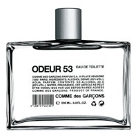 Comme Des Garcons Odeur 53