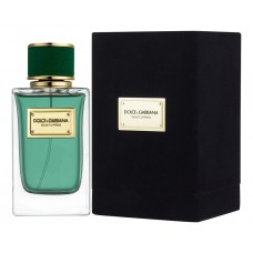 Dolce & Gabbana D&G Velvet Cypress фото духи