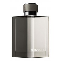 Donna Karan DKNY Men 2009 (Silver)