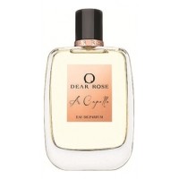 Roos & Roos / Dear Rose Dear Rose A Capella Roos & Roos / Dear Rose Dear Rose A Capella