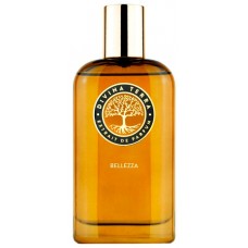 DiVina Terra Bellezza фото духи