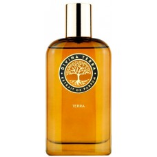 DiVina Terra Terra фото духи