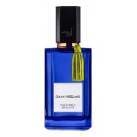 Diana Vreeland Smashingly Brilliant