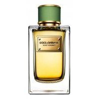 Dolce & Gabbana D&G Velvet Bergamot Dolce & Gabbana D&G Velvet Bergamot