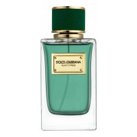 Dolce & Gabbana D&G Velvet Cypress Dolce & Gabbana D&G Velvet Cypress
