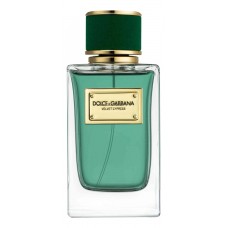Dolce & Gabbana D&G Velvet Cypress фото духи