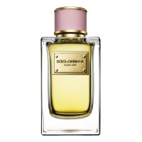 Dolce & Gabbana D&G Velvet Love Dolce & Gabbana D&G Velvet Love