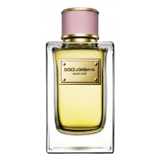 Dolce & Gabbana D&G Velvet Love фото духи