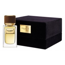 Dolce & Gabbana D&G Velvet Wood фото духи