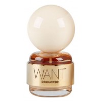 Dsquared2 Want