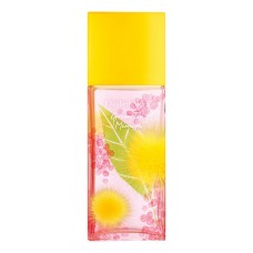 Elizabeth Arden Green Tea Mimosa фото духи