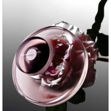 Massimo Dutti En Esencia