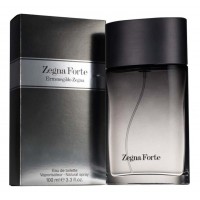 Ermenegildo Zegna Forte man Ermenegildo Zegna Forte man