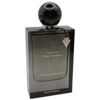 Expensive Chaos Company Can You Hear Me?