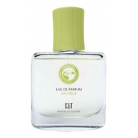 Fiilit Saudade Amazonia