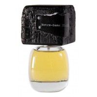 Filippo Sorcinelli Delire De Voyage Notre-Dame 15.4.2019 Filippo Sorcinelli Delire De Voyage Notre-Dame 15.4.2019