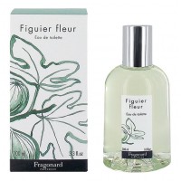 Fragonard Figuier Fleur Fragonard Figuier Fleur