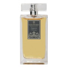 Galimard Aigues Vives Men