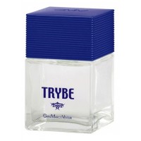 Gian Marco Venturi Trybe Gian Marco Venturi Trybe