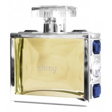 Giorgio Monti Shiny men фото духи