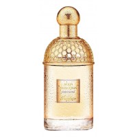 Guerlain Aqua Allegoria Jasminora Guerlain Aqua Allegoria Jasminora
