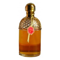 Guerlain Aqua Allegoria Winter Delice Guerlain Aqua Allegoria Winter Delice