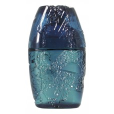 Guy Laroche Horizon for men фото духи