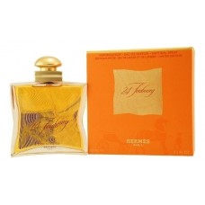 Hermes 24 Faubourg Jeu De Lignes et de Lumiere